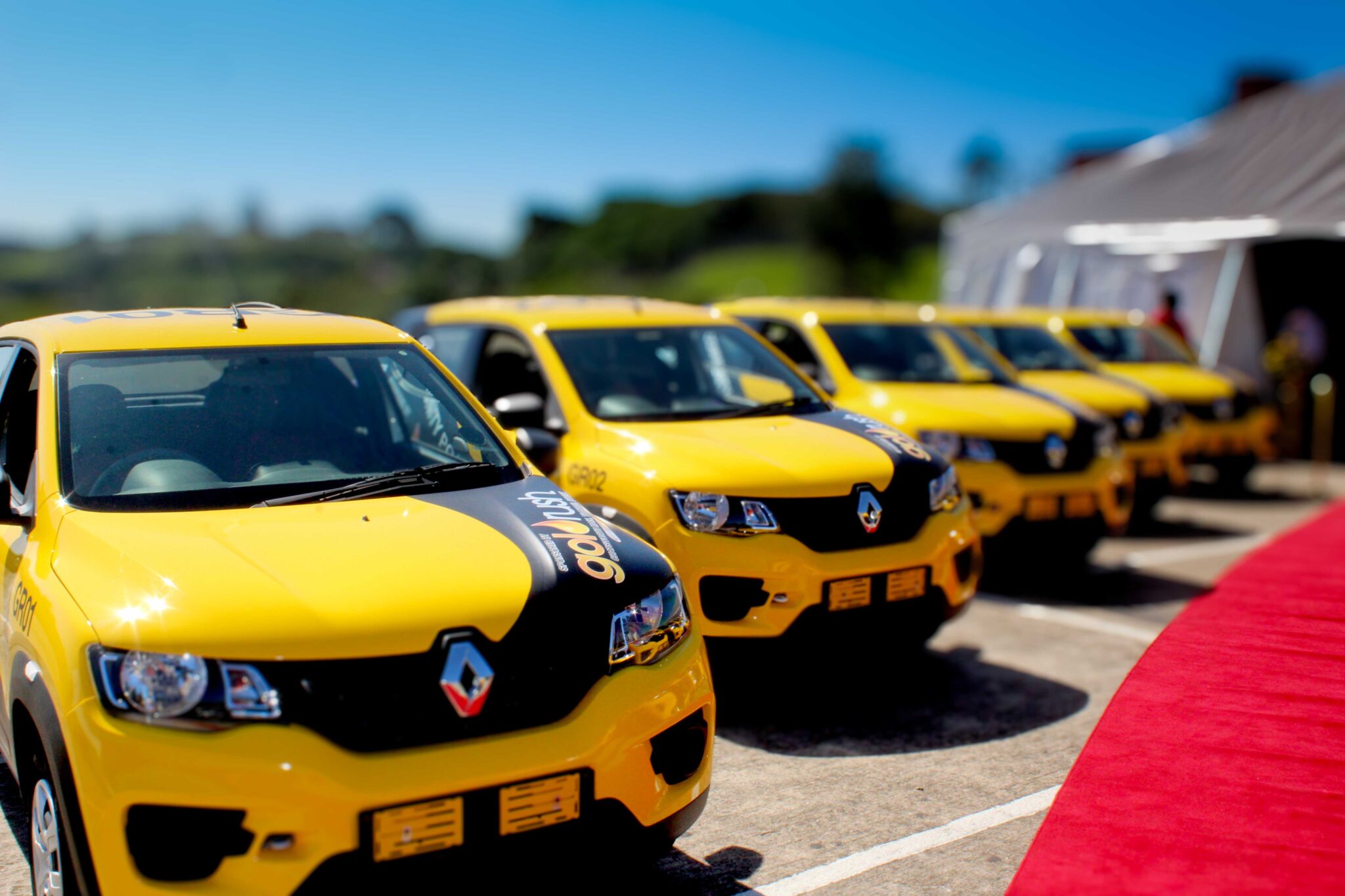 A row of yellow Renault cars with Goldrush branding parked outdoors beside a red carpet and a white marquee.